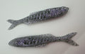 Stalkyr Leurre Souple 10 cm / 6 g – Pack 2 pièces